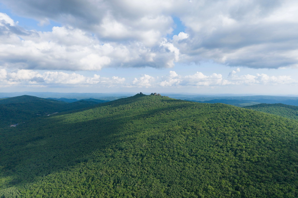 這是6月17日拍攝的七星山國家森林公園一角（無人機照片）。七星砬子抗聯密營遺址就隱于附近的茂林之中。