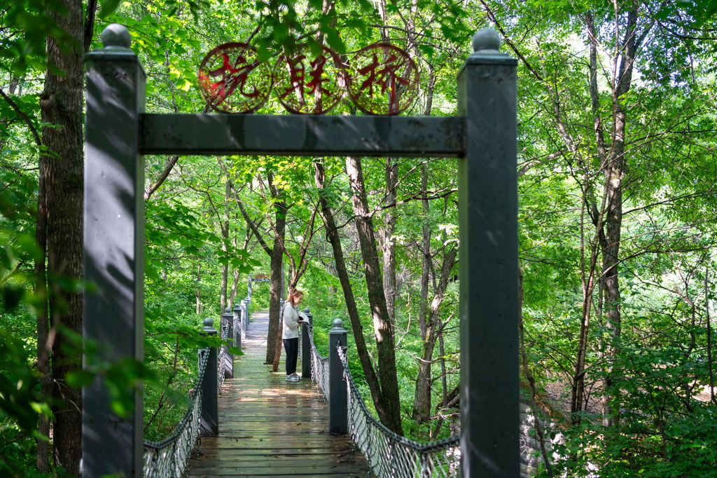6月17日，在七星山國家森林公園，游客走過抗聯影視基地中的抗聯橋。
