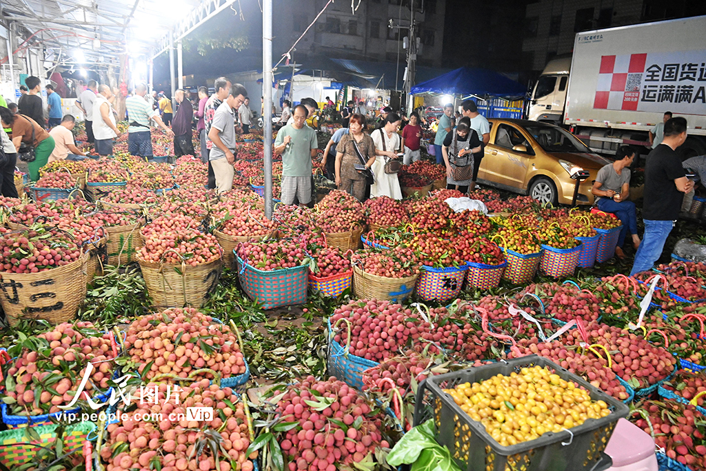 廣西合浦:荔枝交易火爆【3】