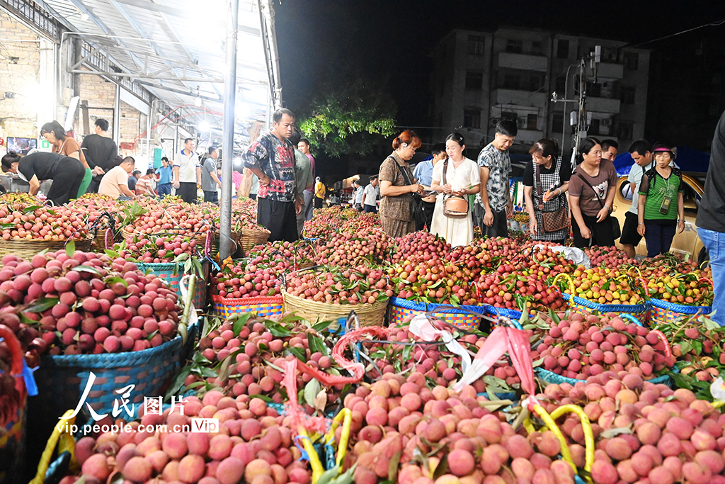 廣西合浦:荔枝交易火爆【4】