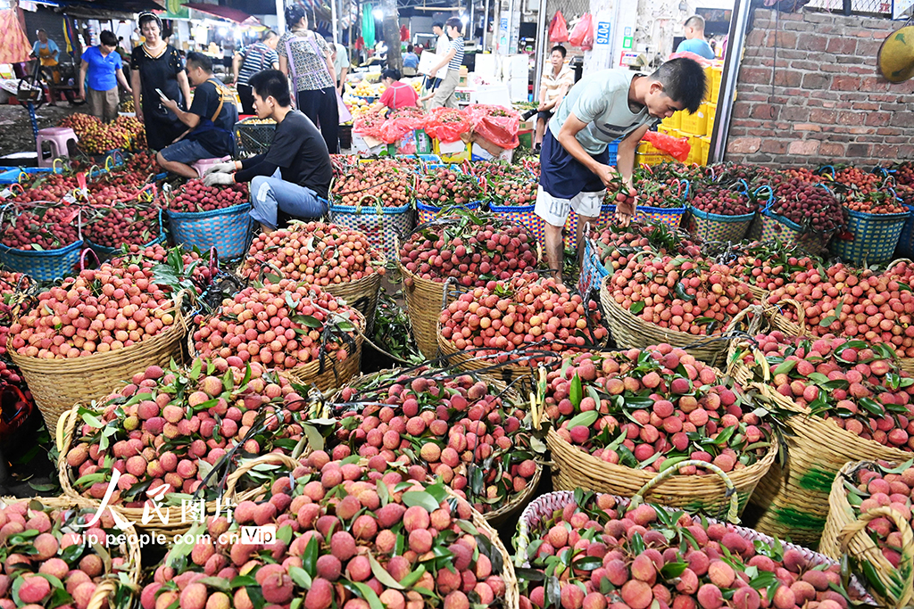 廣西合浦:荔枝交易火爆【5】