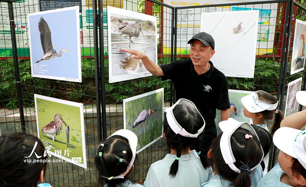 海南三亞:2025年“愛鳥周”宣傳活動啟動【5】