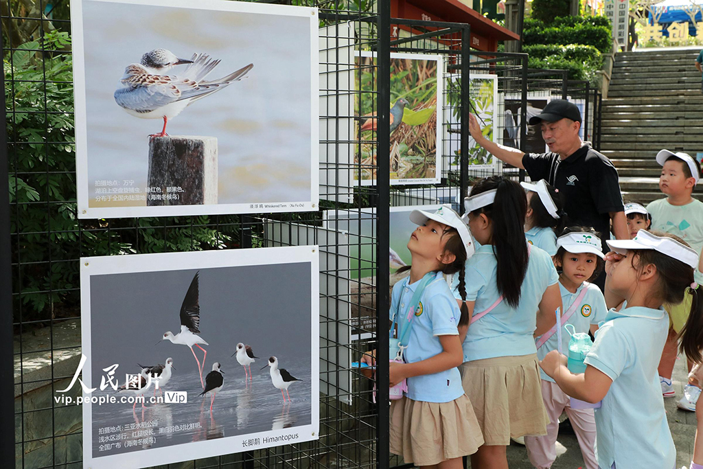 海南三亞:2025年“愛鳥周”宣傳活動啟動【6】