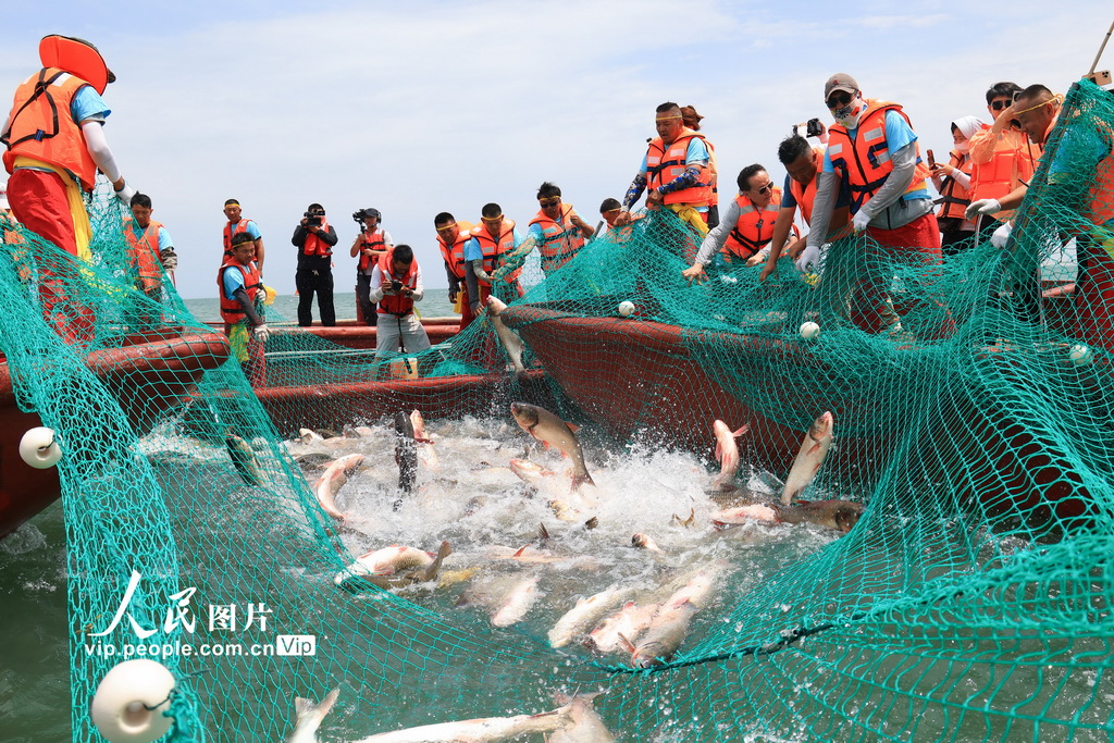 新疆博湖:魚躍人歡【3】