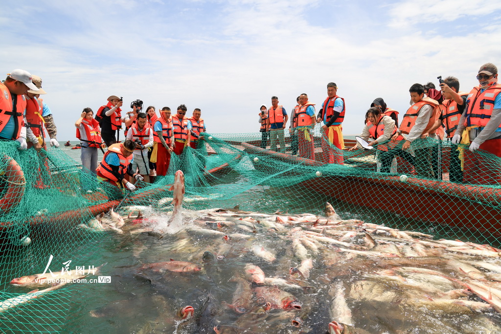 新疆博湖：魚躍人歡