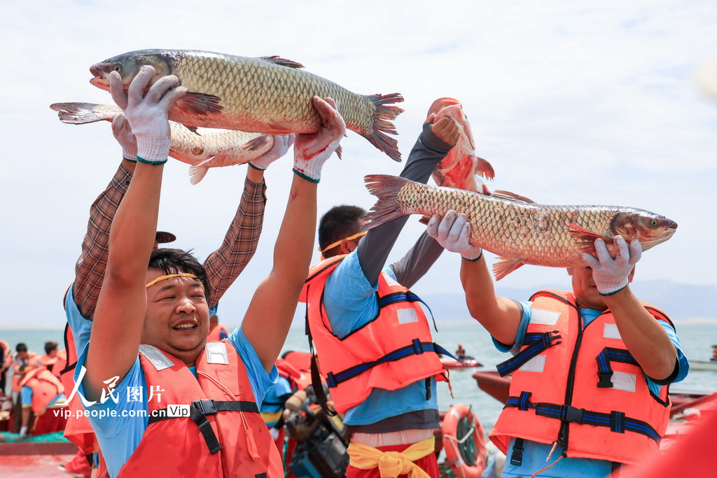 新疆博湖:魚躍人歡【2】