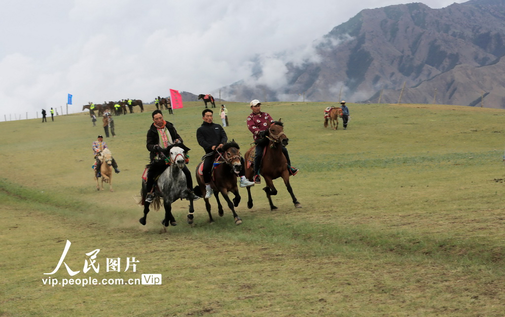 甘肅肅南:草原賽馬【2】