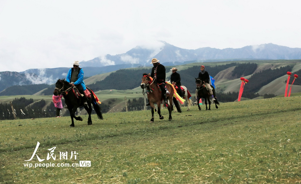 甘肅肅南:草原賽馬【4】