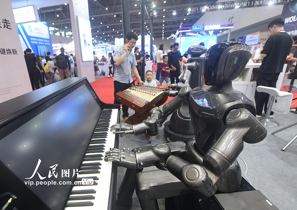 2025杭州國際人形機器人與機器人技術展覽會舉行【4】