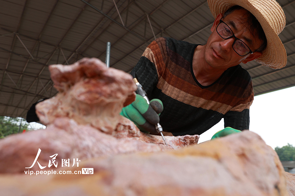 重慶黔江成為目前我國西南地區唯一白堊紀恐龍化石集群埋藏地【5】