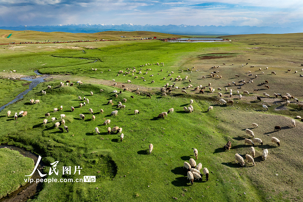 新疆和靜:巴音布魯克大草原美如畫【2】