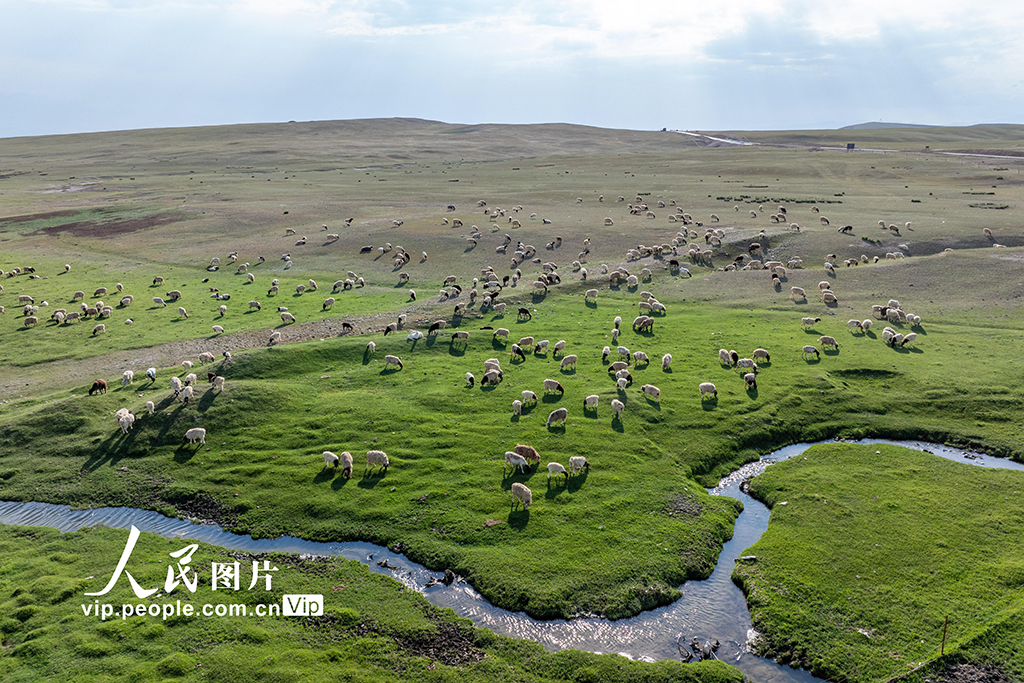 新疆和靜:巴音布魯克大草原美如畫【3】