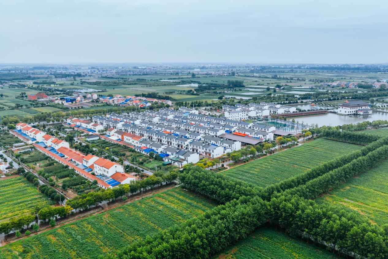 航拍視角下的潘家灣鎮四邑村。邱活攝