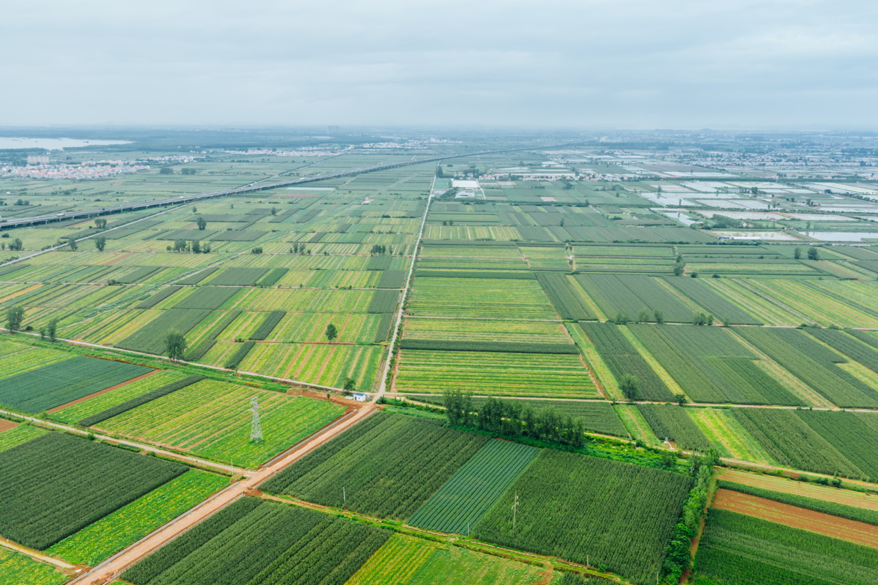 金融活水潤澤“田間地頭”