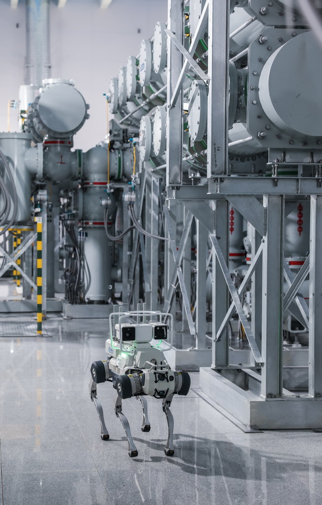 6月24日，機器狗在舟山望海（金塘）220千伏輸變電工程的變電站GIS室內巡查。