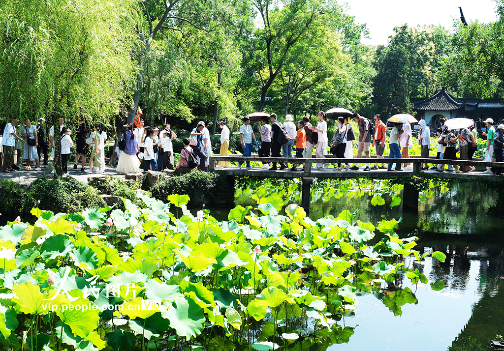 江蘇蘇州:游園賞荷享清涼【2】