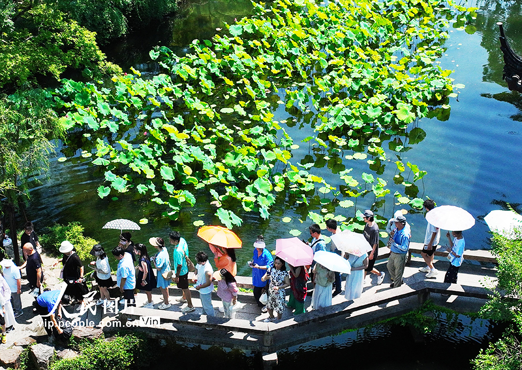 江蘇蘇州:游園賞荷享清涼【3】