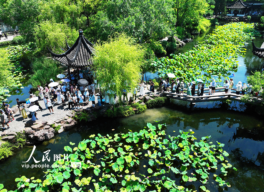 江蘇蘇州：游園賞荷享清涼