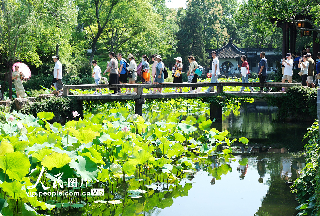 江蘇蘇州：游園賞荷享清涼【5】
