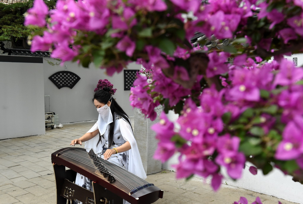 6月28日，演員在圓明園“荷韻梅芳 御苑雙姝”雙花展現場演奏。