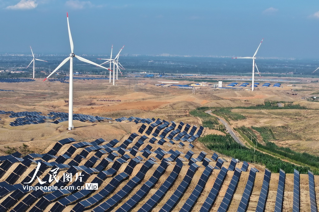 寧夏青銅峽:戈壁灘上好“風景”【2】