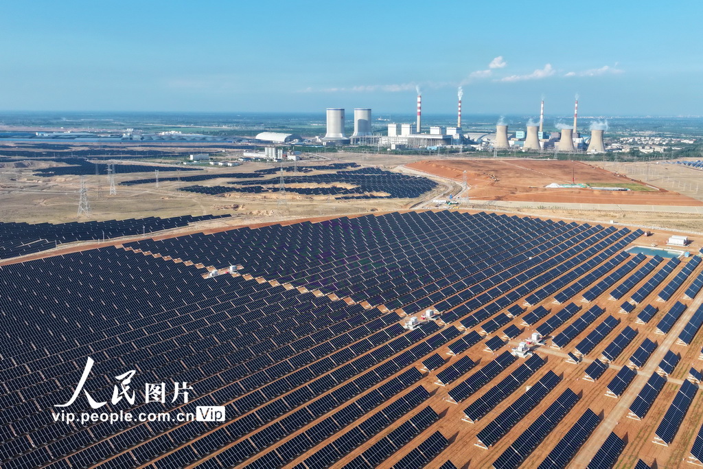 寧夏青銅峽：戈壁灘上好“風景”【3】