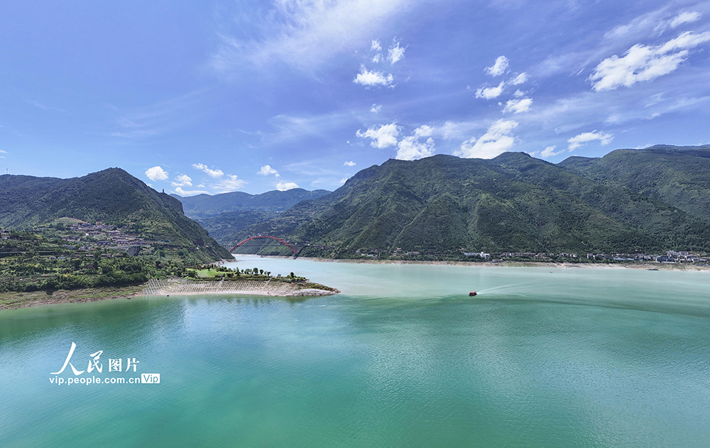 重慶:長江巫峽段現“涇渭分明”鴛鴦景觀【2】