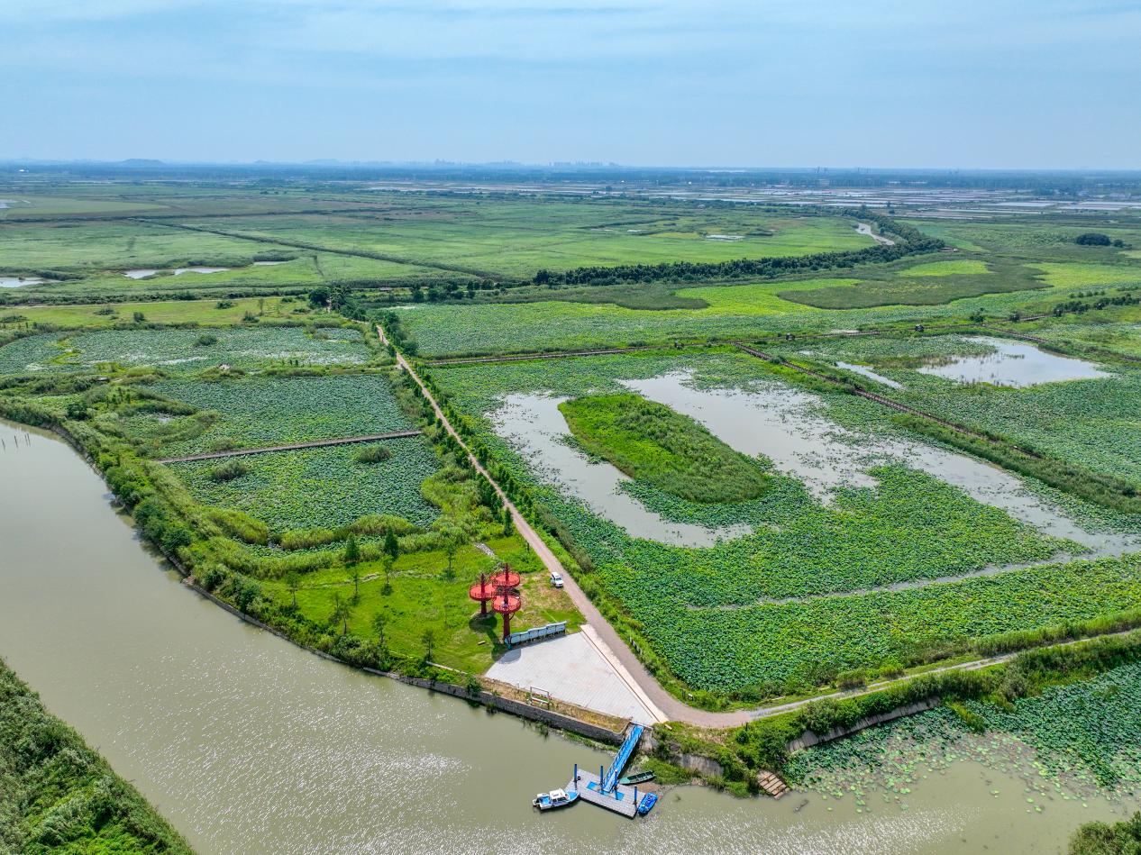 觀鳥塔俯瞰。魏斌攝