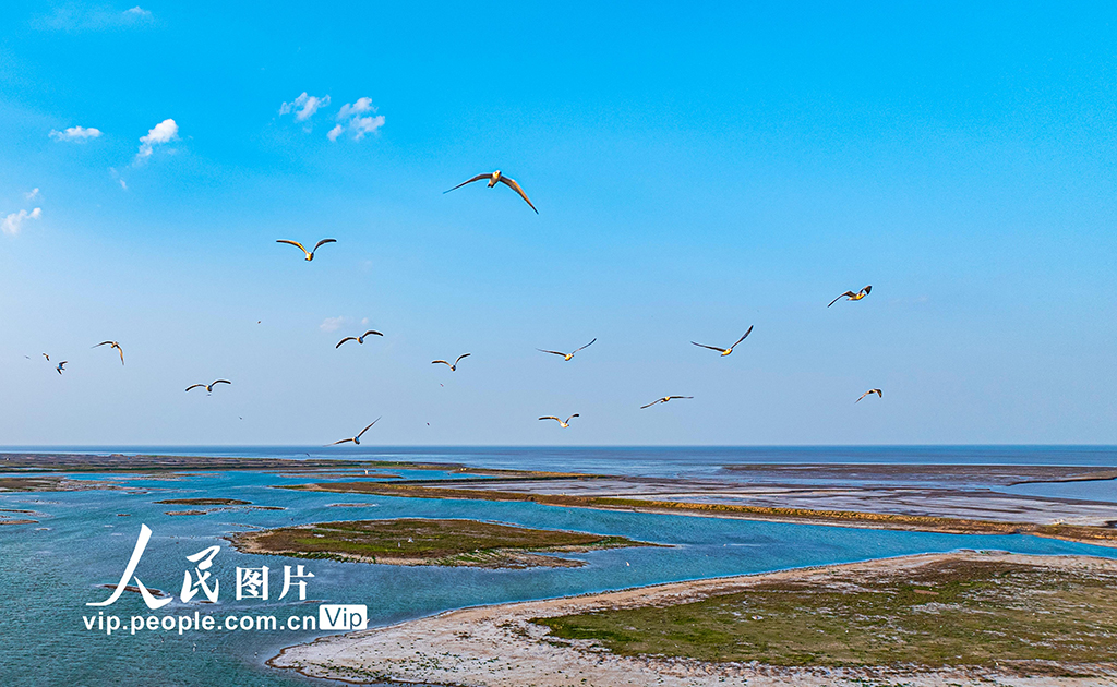 鳥語花香處 青山綠水間