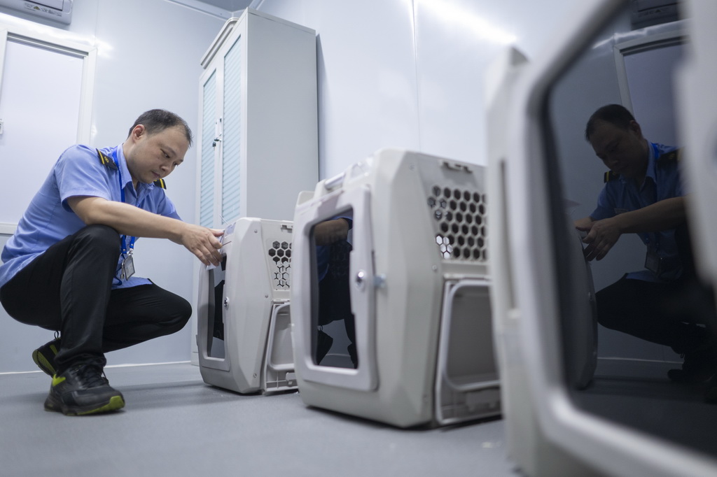 7月1日，武漢站工作人員檢查專用寵物運輸箱功能運行情況。