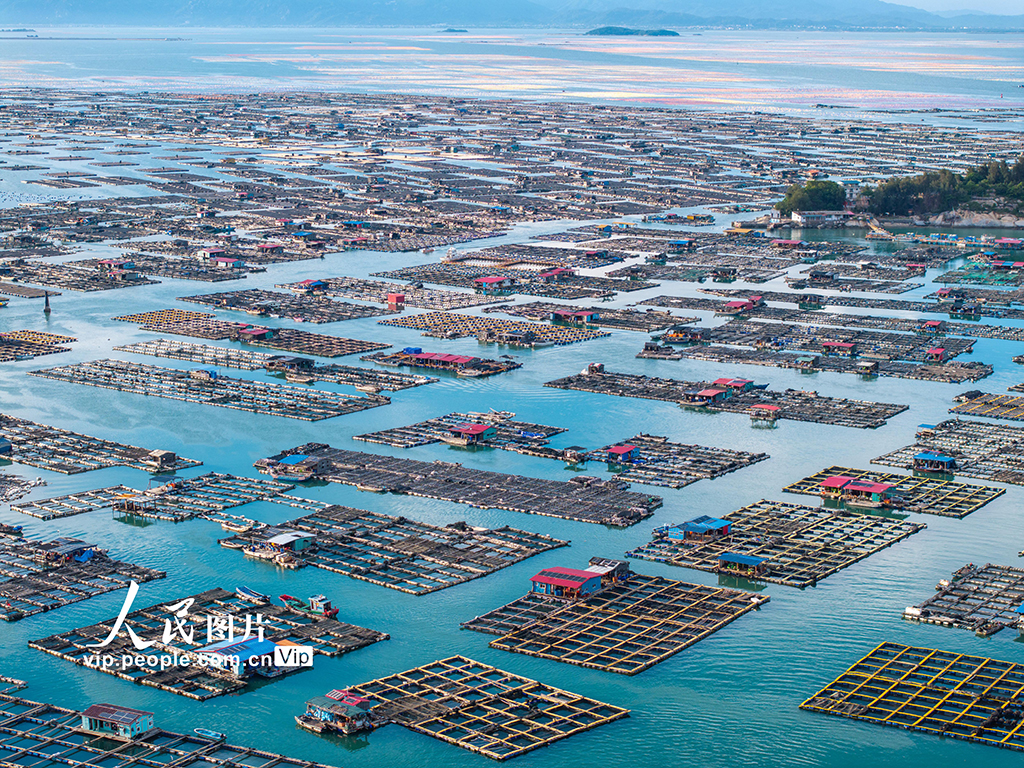 福建東山:海洋牧場【2】