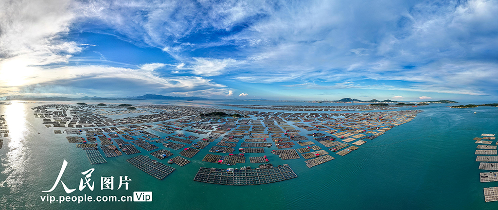 福建東山:海洋牧場【4】