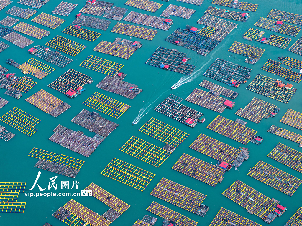 福建東山:海洋牧場【5】