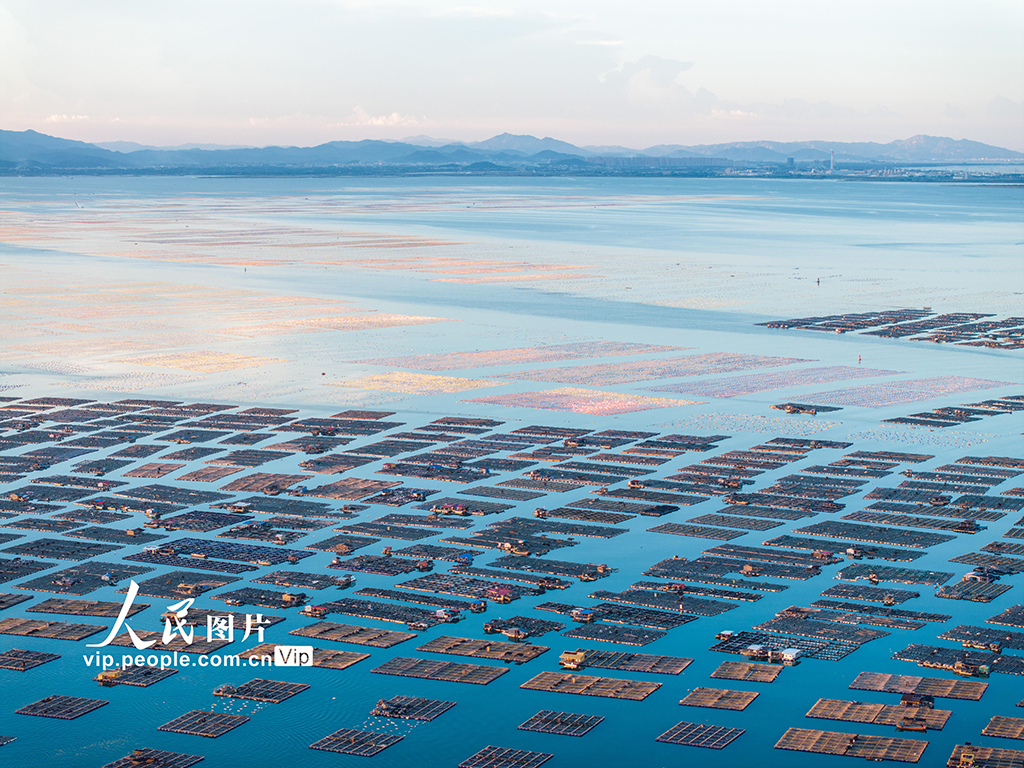 福建東山：海洋牧場