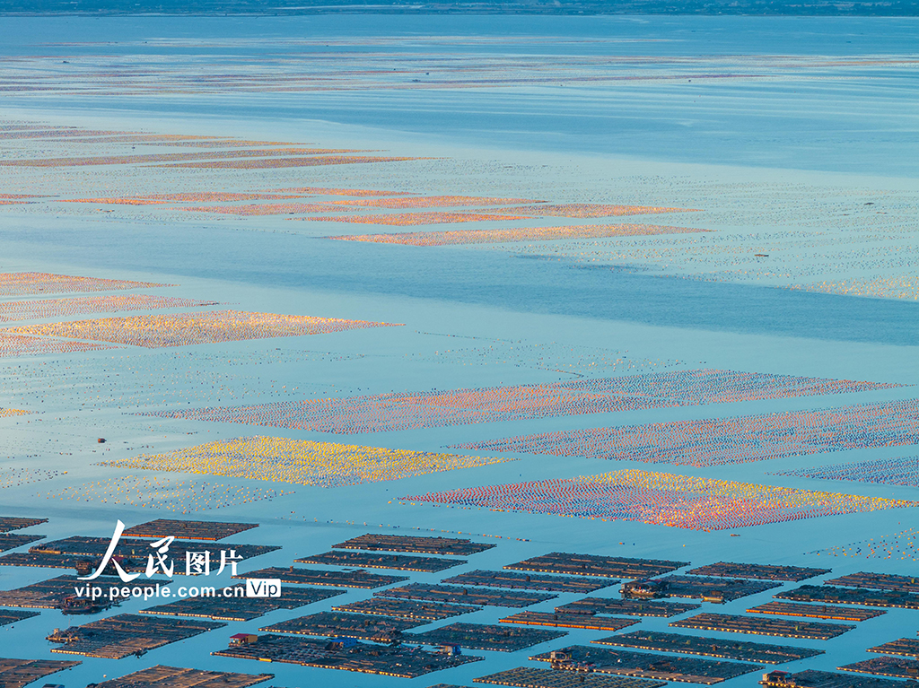 福建東山:海洋牧場【6】