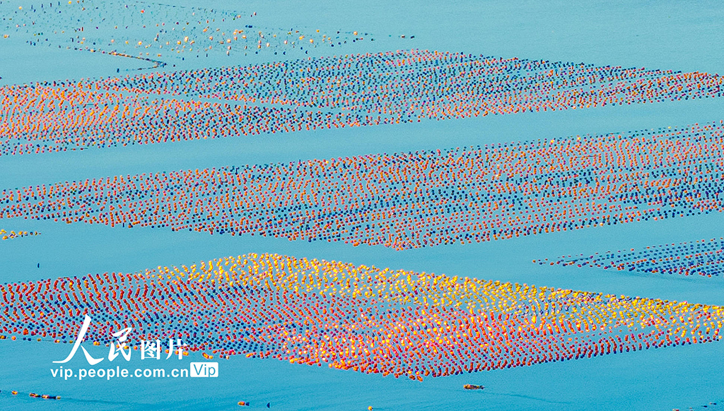 福建東山:海洋牧場【3】