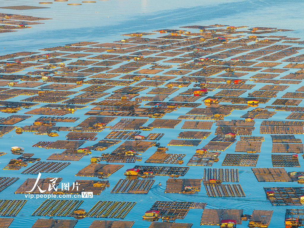 福建東山:海洋牧場【8】