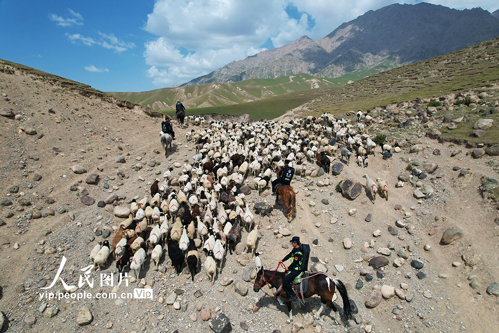 新疆阿克蘇:黨員服務隊護航牧區轉場路【3】