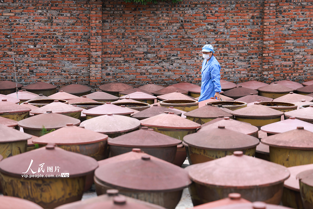 四川遂寧:傳統古法釀豆瓣醬【5】
