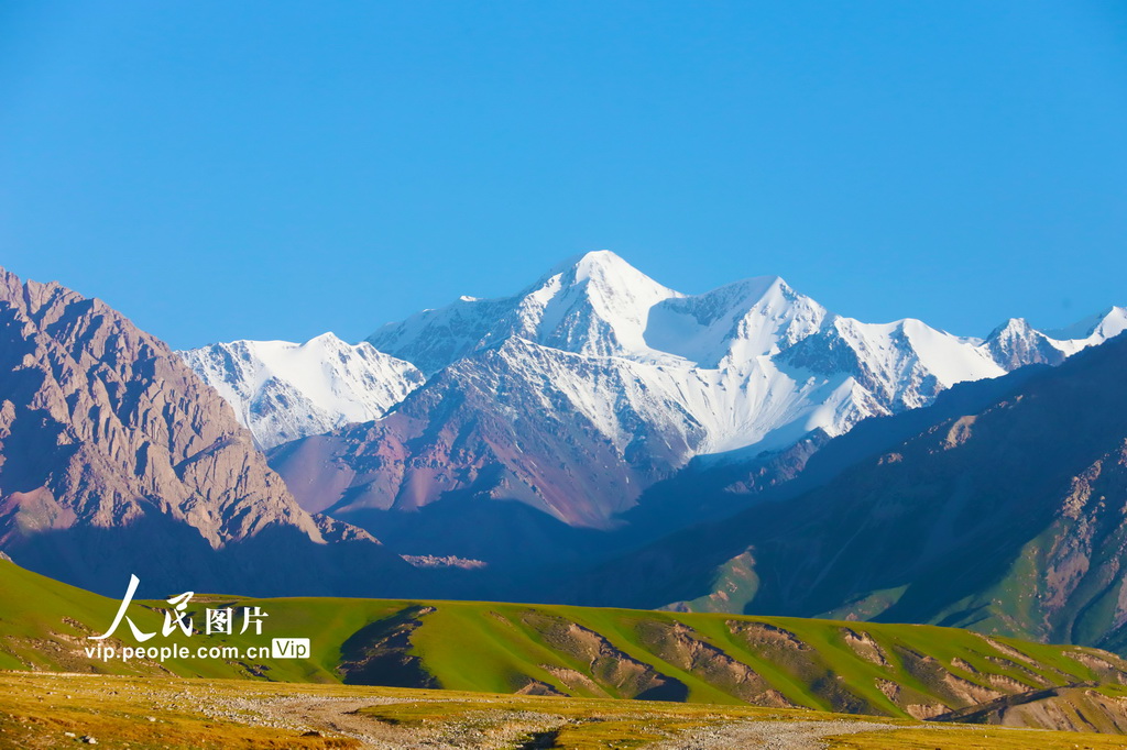 新疆溫宿：草原夏日勝景
