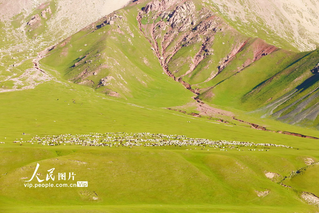 新疆溫宿:草原夏日勝景【3】