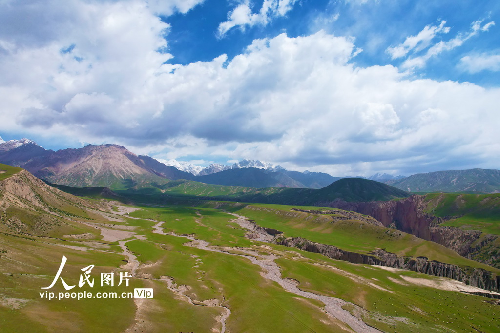 新疆溫宿：草原夏日勝景【5】