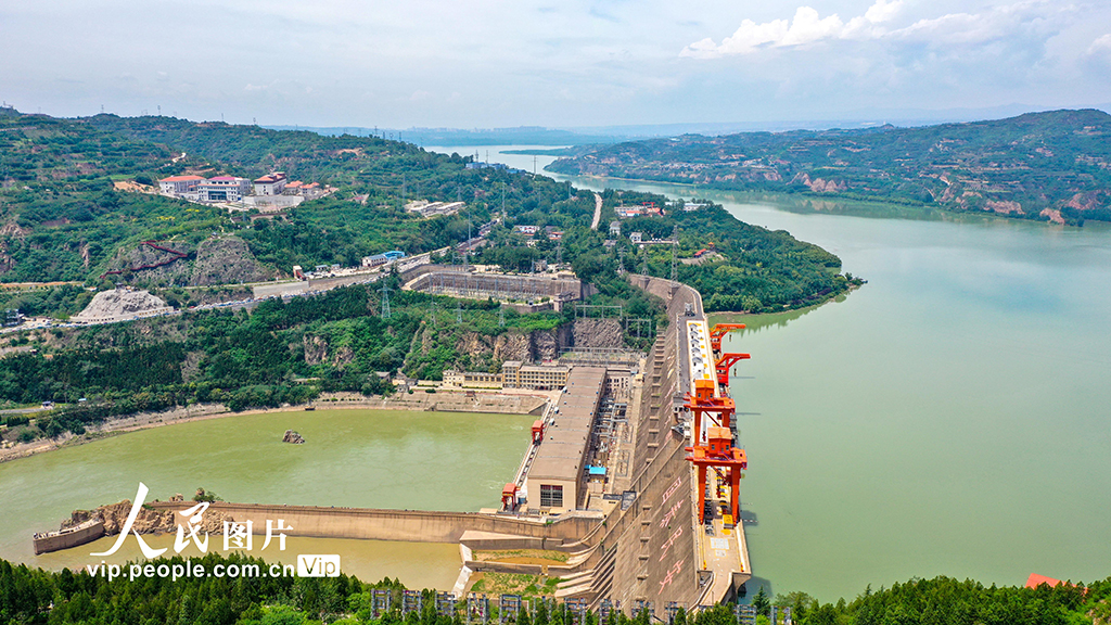 山西運城:黃河岸畔綠意濃【2】