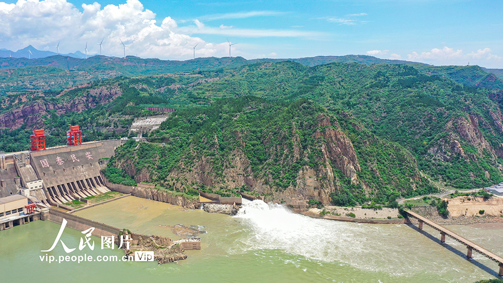 山西運城:黃河岸畔綠意濃【3】