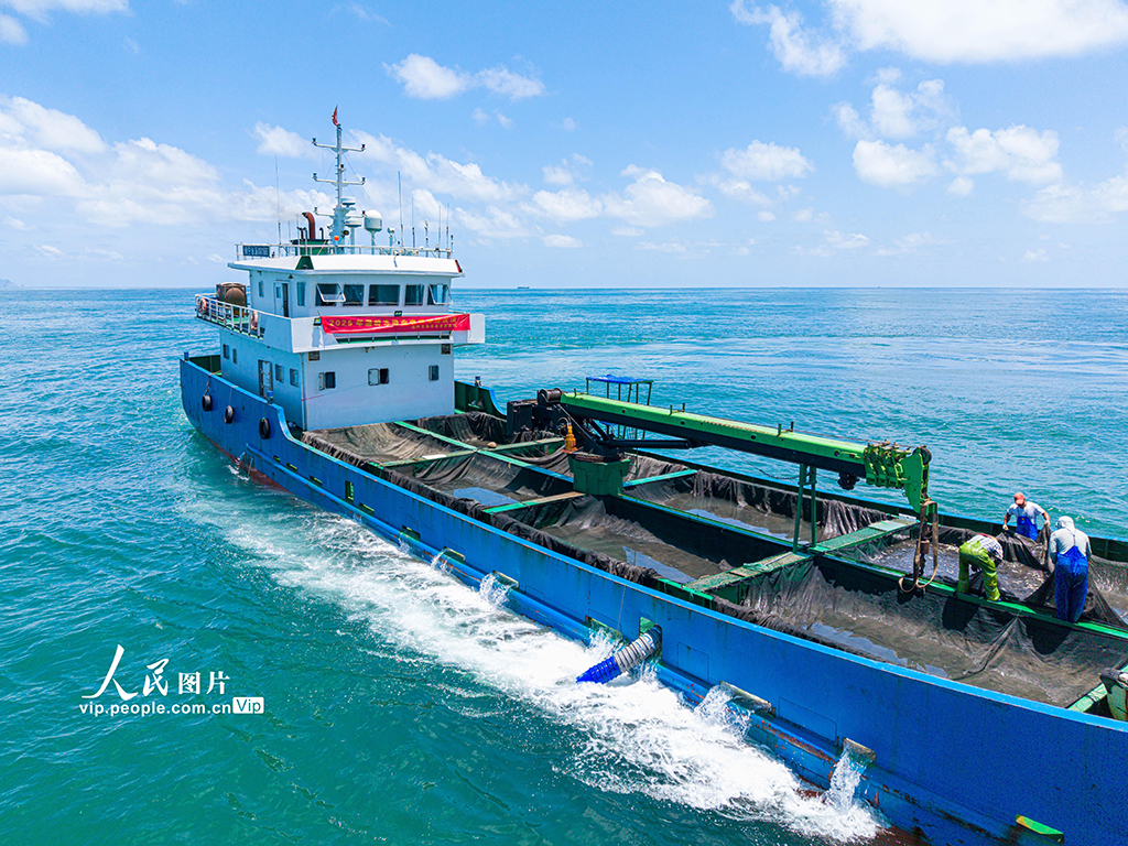 浙江溫嶺：東海開展增殖放流【2】