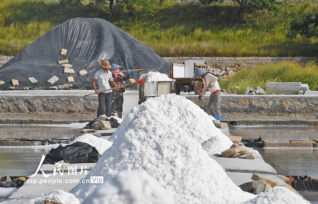 福建泉州:鹽場作業【2】