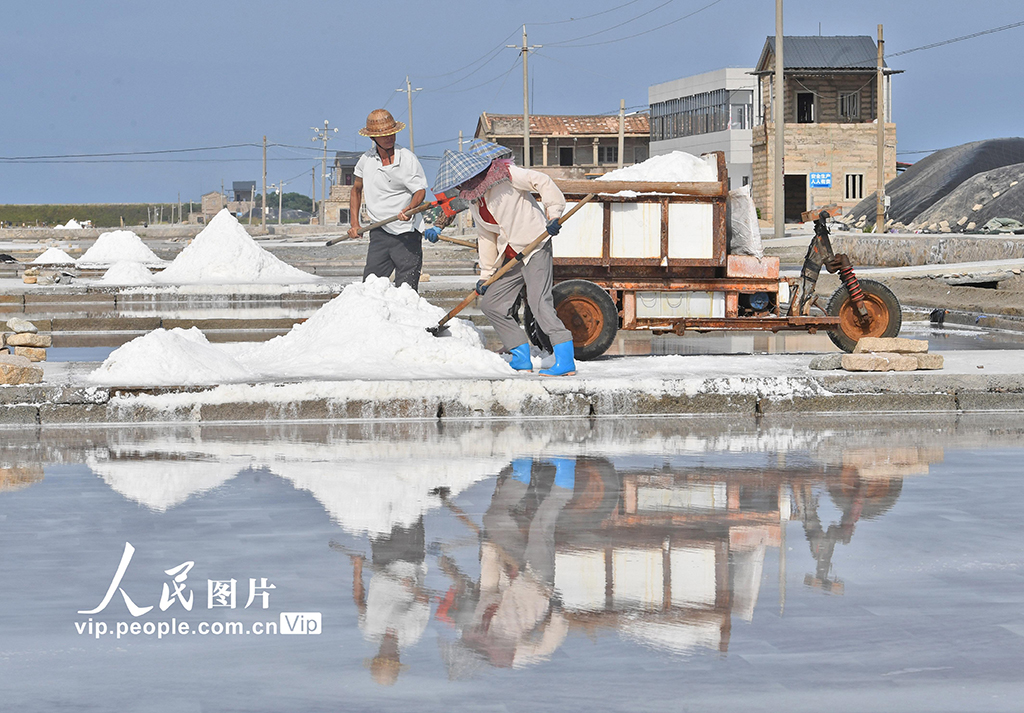 福建泉州：鹽場作業