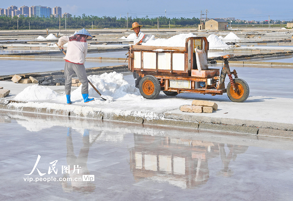 福建泉州:鹽場作業【3】