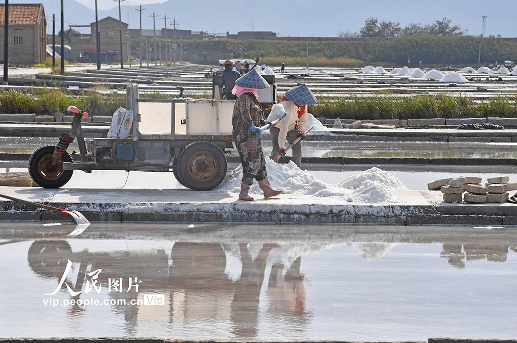 福建泉州:鹽場作業【4】