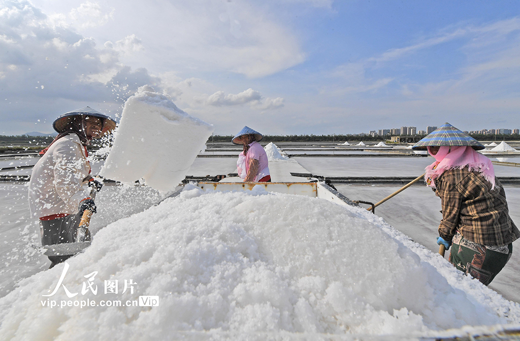 福建泉州:鹽場作業【5】
